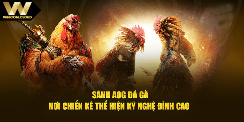 Một số điểm thu hút người chơi tại sảnh đá gà AOG