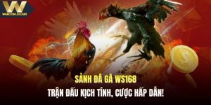 sanh-da-ga-ws168