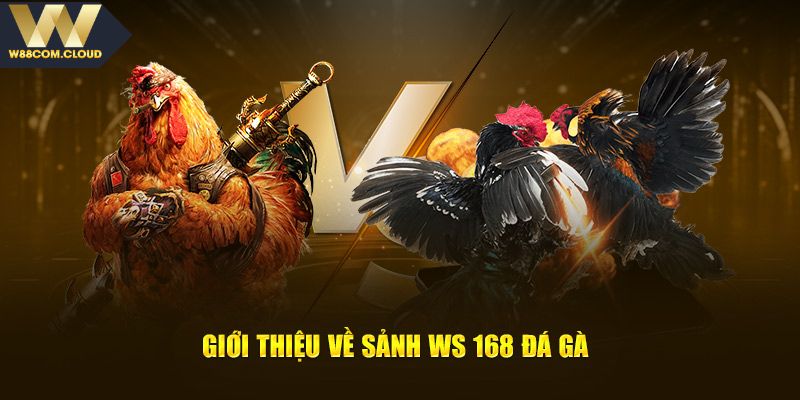 Tìm hiểu các thông tin về sảnh đá gà WS168