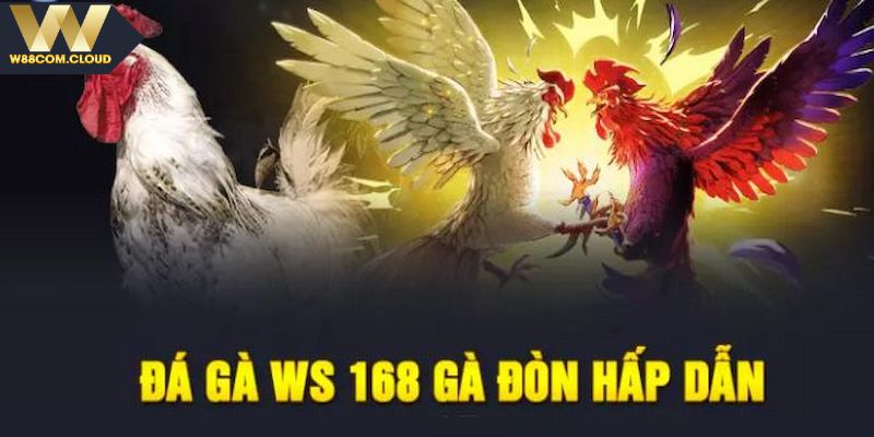 Các loại hình phổ biến có mặt tại sảnh đá gà WS168